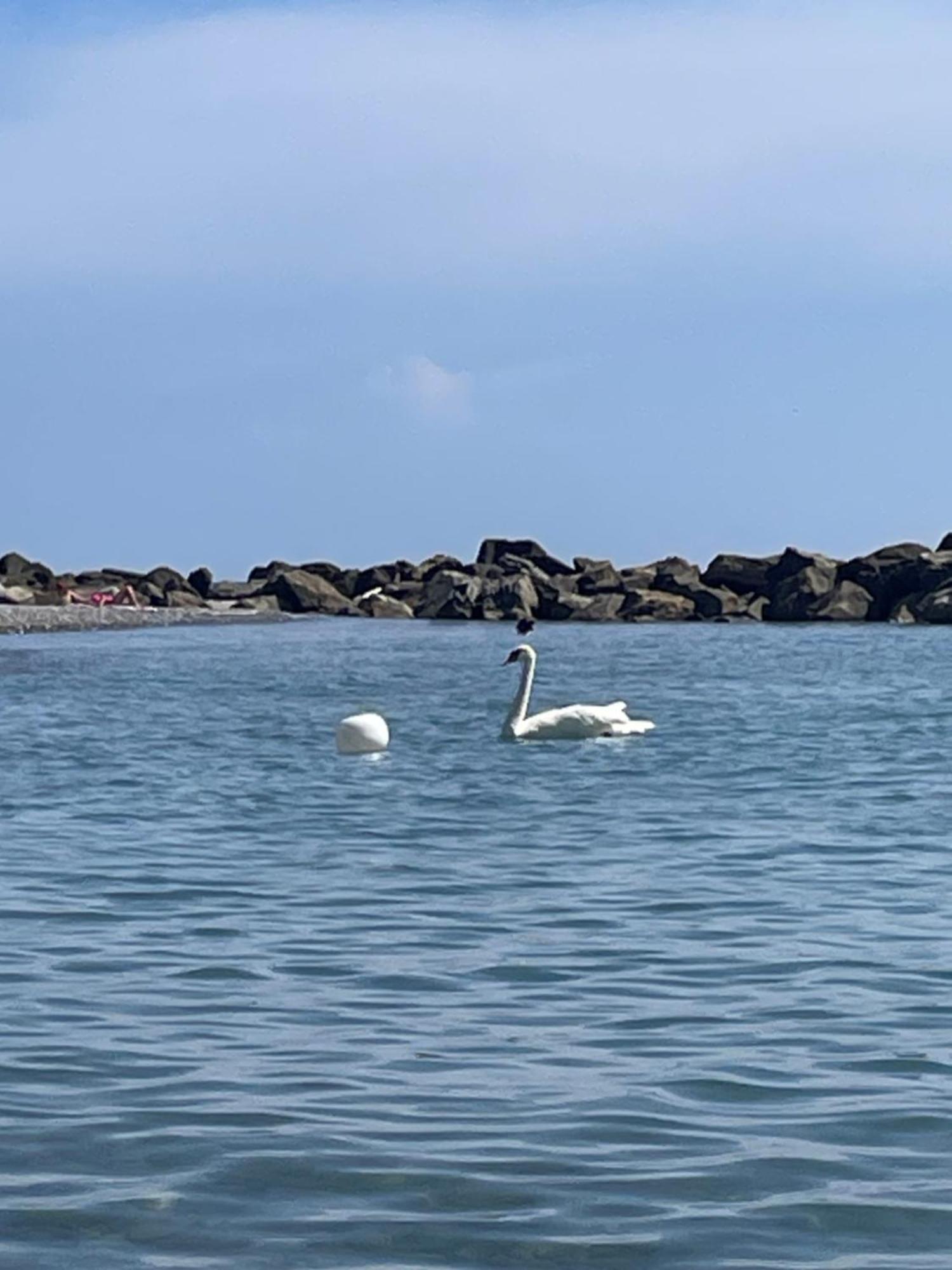Apartmán Casa Aiga Marina Ventimiglia Exteriér fotografie